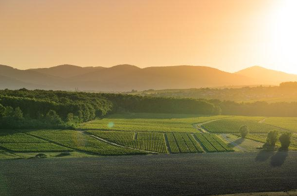 應(yīng)該如何扎實(shí)的自學(xué)攝影測(cè)量學(xué)？