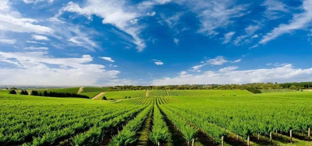 精準(zhǔn)農(nóng)業(yè)用多光譜還是高光譜遙感技術(shù)？