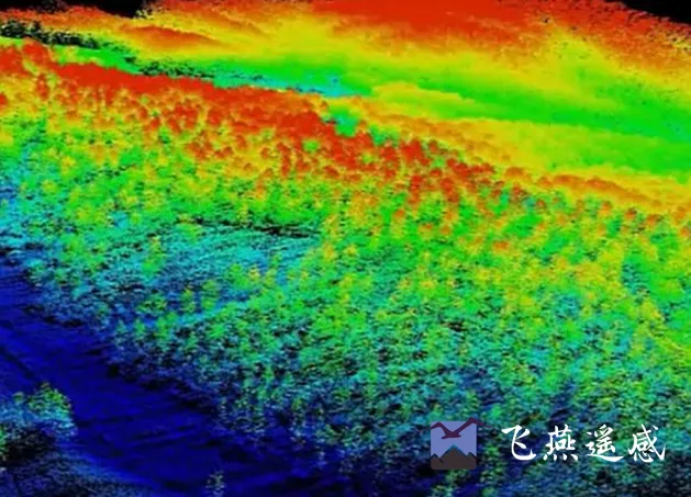 世界地球日丨碳鎖未來，向綠而行